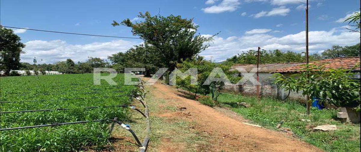 Foto de terreno industrial en rancho el mango , villa guerrero, villa guerrero, méxico, 25047226 foto 04 Foto de terreno industrial en venta en rancho el mango , villa guerrero, villa guerrero, méxico, 25047226 No. 04