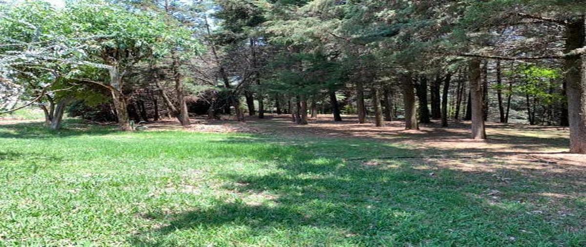 Foto de terreno industrial en venta en rancho el mango , villa guerrero, villa guerrero, méxico, 25047226 No. 05