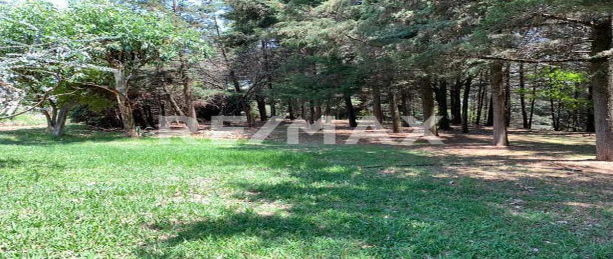 Foto de terreno industrial en rancho el mango , villa guerrero, villa guerrero, méxico, 25047226 foto 05 Foto de terreno industrial en venta en rancho el mango , villa guerrero, villa guerrero, méxico, 25047226 No. 05