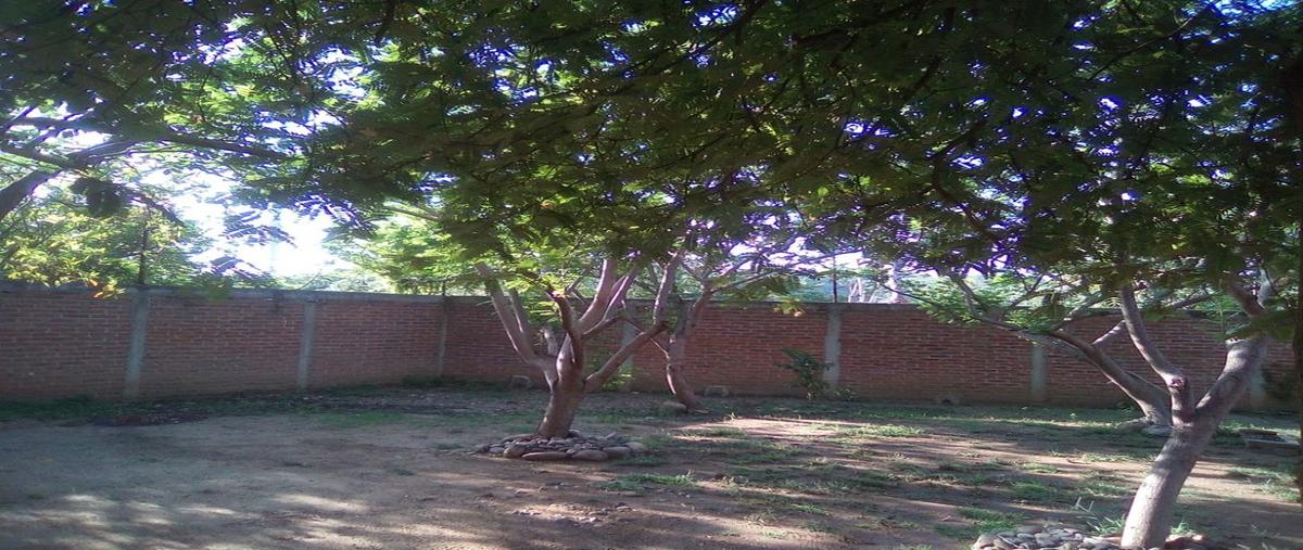 Foto de casa en rancho el recodo , el recodo, mazatlán, sinaloa, 24791384 foto 04 Foto de casa en venta en rancho el recodo , el recodo, mazatlán, sinaloa, 24791384 No. 04