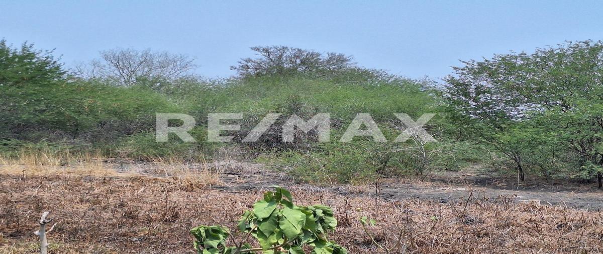 Foto de rancho en venta en rancho el trebol , lópez rayón, gonzález, tamaulipas, 0 No. 03