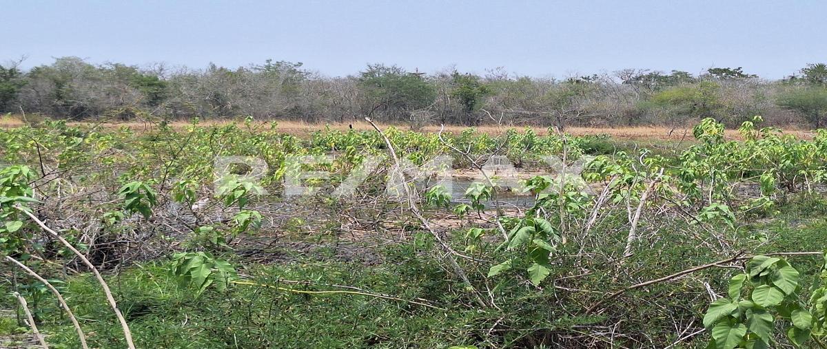 Foto de rancho en venta en rancho el trebol , lópez rayón, gonzález, tamaulipas, 0 No. 04