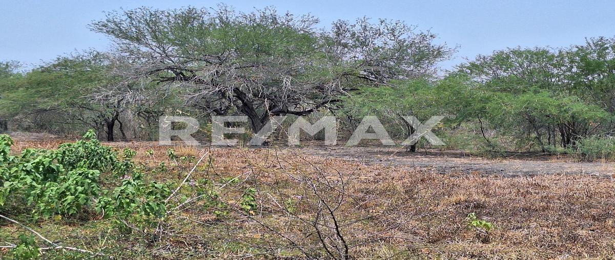 Foto de rancho en venta en rancho el trebol , lópez rayón, gonzález, tamaulipas, 0 No. 05