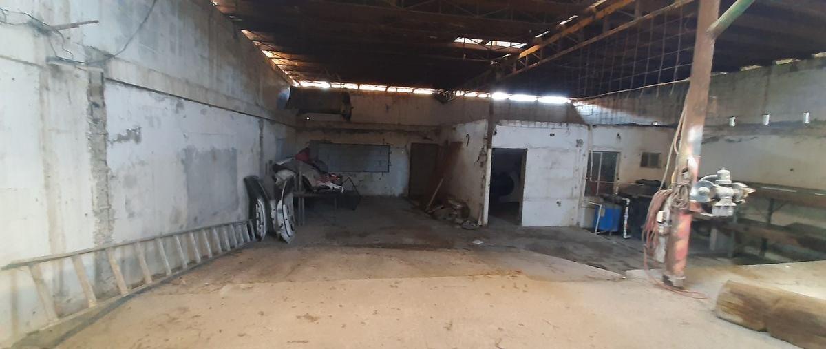 Foto de bodega en venta en  , rancho grande, reynosa, tamaulipas, 26489921 No. 05