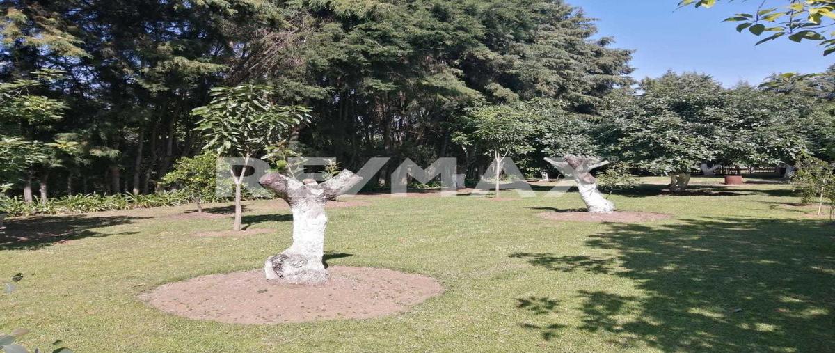 Foto de terreno habitacional en venta en rancho guadalupe , tepetzingo, tenancingo, méxico, 0 No. 05