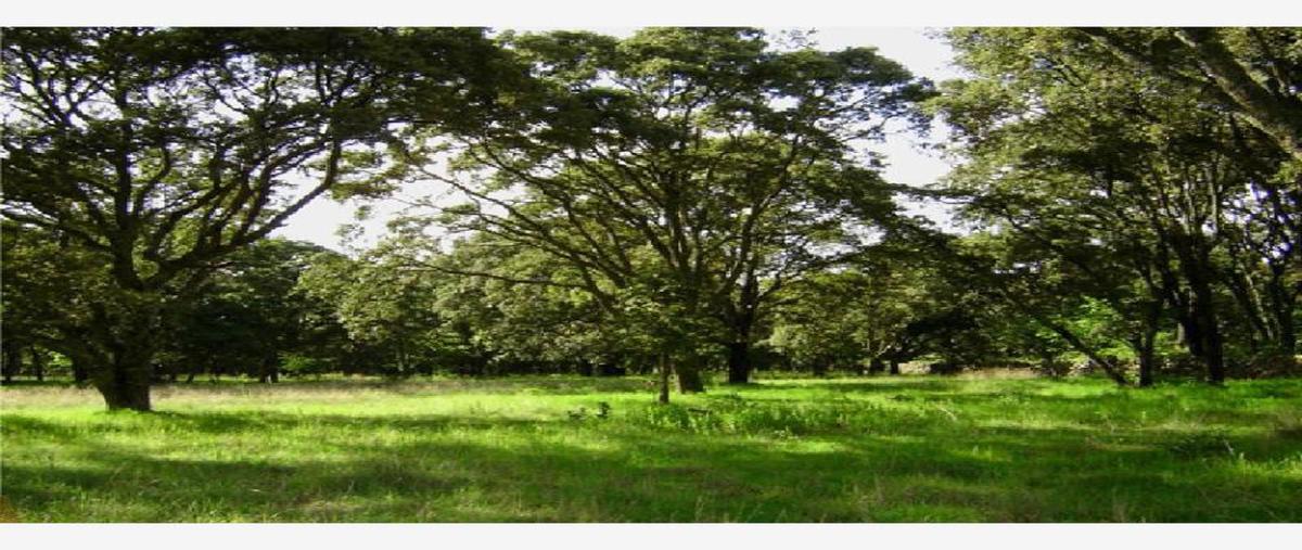 Foto de rancho en venta en rancho la carbonera 444, canalejas, jilotepec, méxico, 701359 No. 01