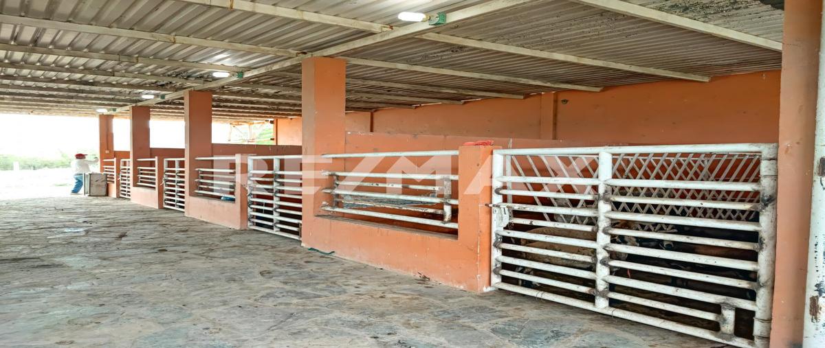 Foto de rancho en rancho la china , ciudad valles, ciudad valles, san luis potosí, 27630887 foto 03 Foto de rancho en venta en rancho la china , ciudad valles, ciudad valles, san luis potosí, 27630887 No. 03