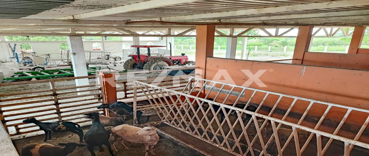 Foto de rancho en rancho la china , ciudad valles, ciudad valles, san luis potosí, 27630887 foto 04 Foto de rancho en venta en rancho la china , ciudad valles, ciudad valles, san luis potosí, 27630887 No. 04