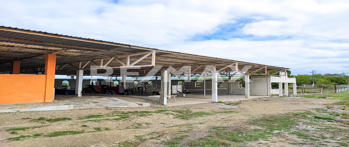 Foto de rancho en rancho la china , ciudad valles, ciudad valles, san luis potosí, 27630887 foto 05 Foto de rancho en venta en rancho la china , ciudad valles, ciudad valles, san luis potosí, 27630887 No. 05