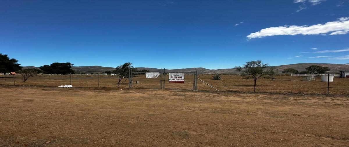 Foto de terreno habitacional en venta en rancho la cruz , san antonio de las minas, ensenada, baja california, 30160889 No. 03
