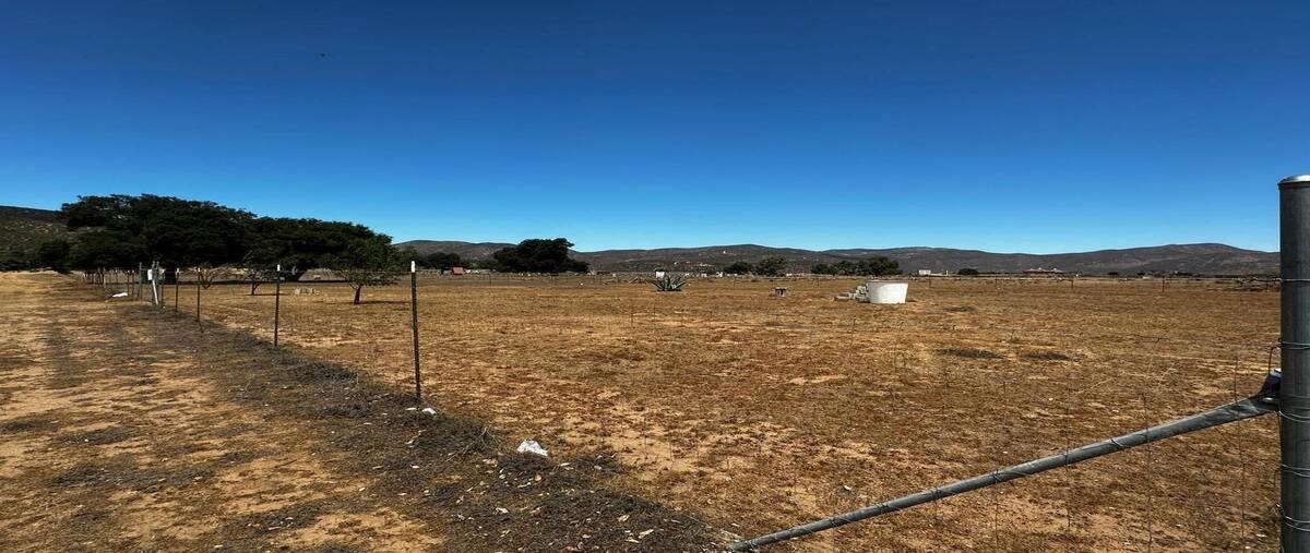 Foto de terreno habitacional en venta en rancho la cruz , san antonio de las minas, ensenada, baja california, 30160889 No. 04