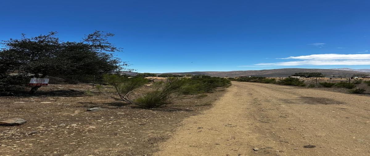 Foto de terreno habitacional en venta en rancho la cruz , san antonio de las minas, ensenada, baja california, 30160889 No. 05