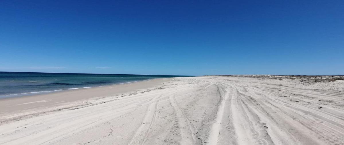 Foto de terreno habitacional en venta en rancho la muela , la rivera, los cabos, baja california sur, 28943438 No. 04