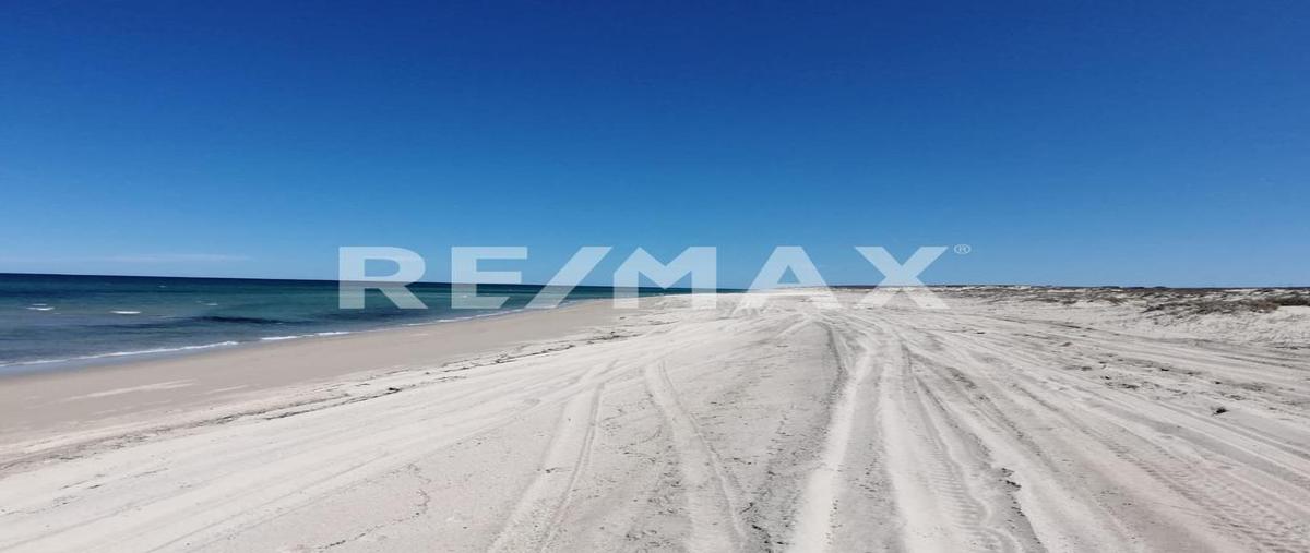 Foto de terreno habitacional en venta en rancho la muela , la rivera, los cabos, baja california sur, 28943438 No. 04