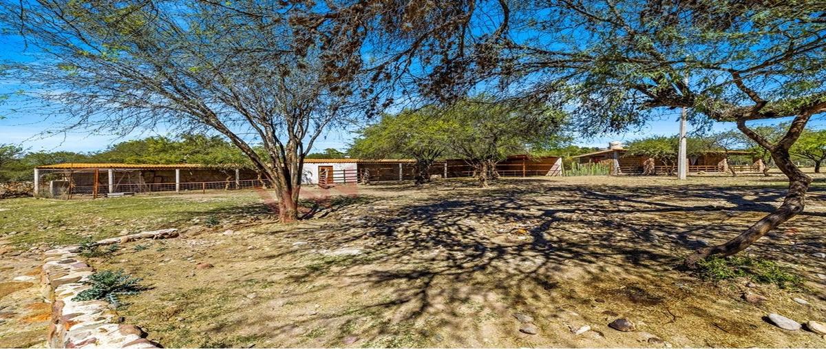 Foto de rancho en venta en rancho la noria loreto s/ntierra blanca de arribasan miguel de allendeguanajuatomexico37890 , tierra blanca de arriba, san miguel de allende, guanajuato, 0 No. 04