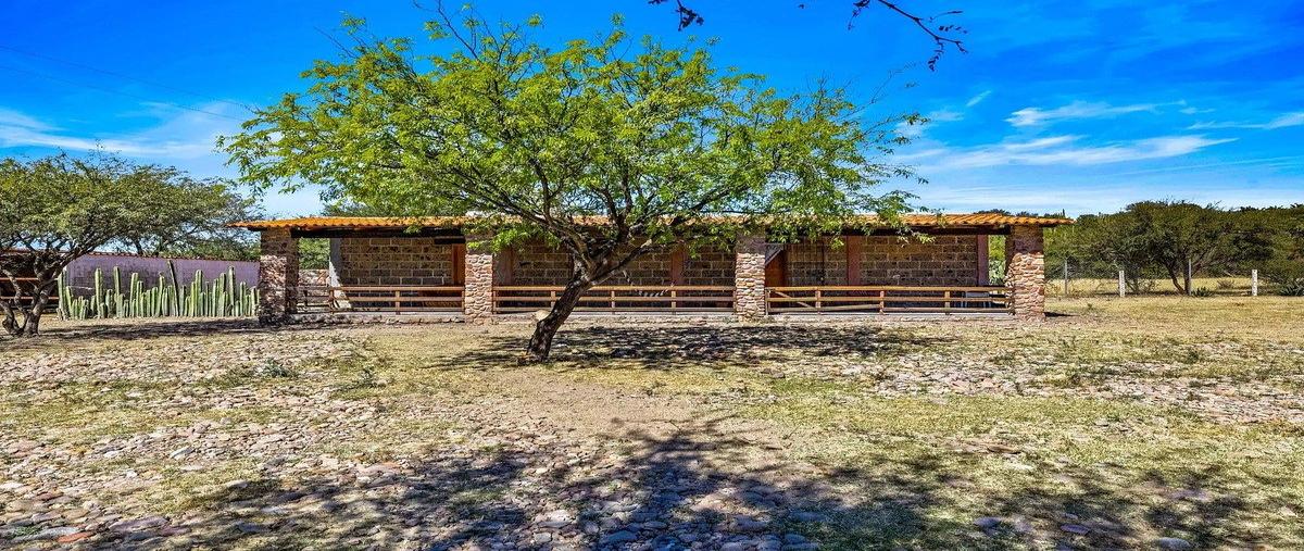 Foto de rancho en venta en rancho la noria loreto , tierra blanca de arriba, san miguel de allende, guanajuato, 0 No. 06