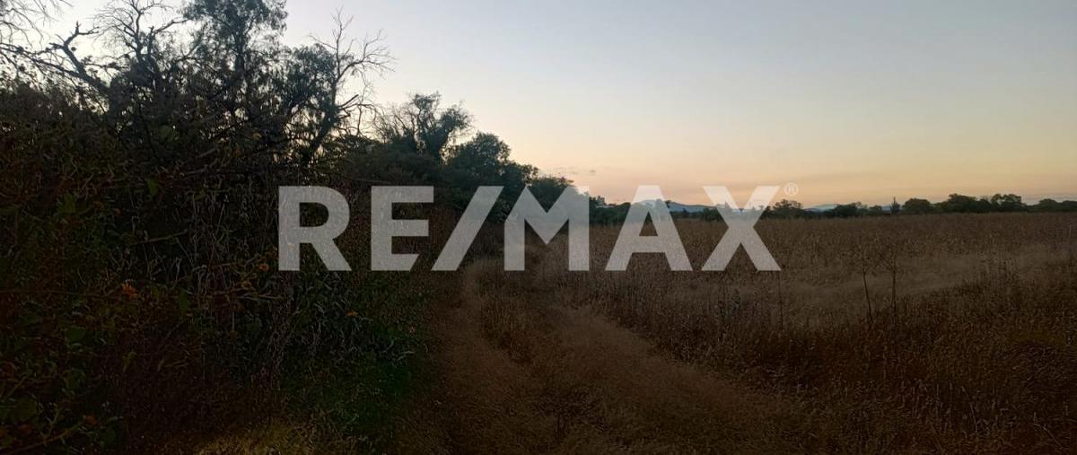 Foto de terreno industrial en venta en rancho la sala , maney, huichapan, hidalgo, 0 No. 04