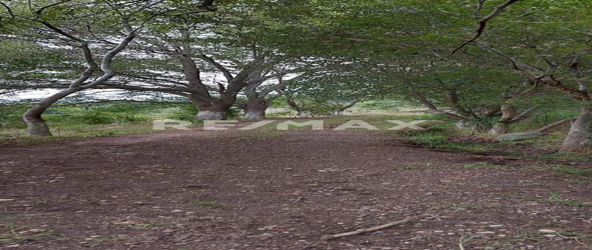 Foto de terreno habitacional en venta en rancho la soledad fraccionamiento tejocote , chapa de mota, chapa de mota, méxico, 25748991 No. 03