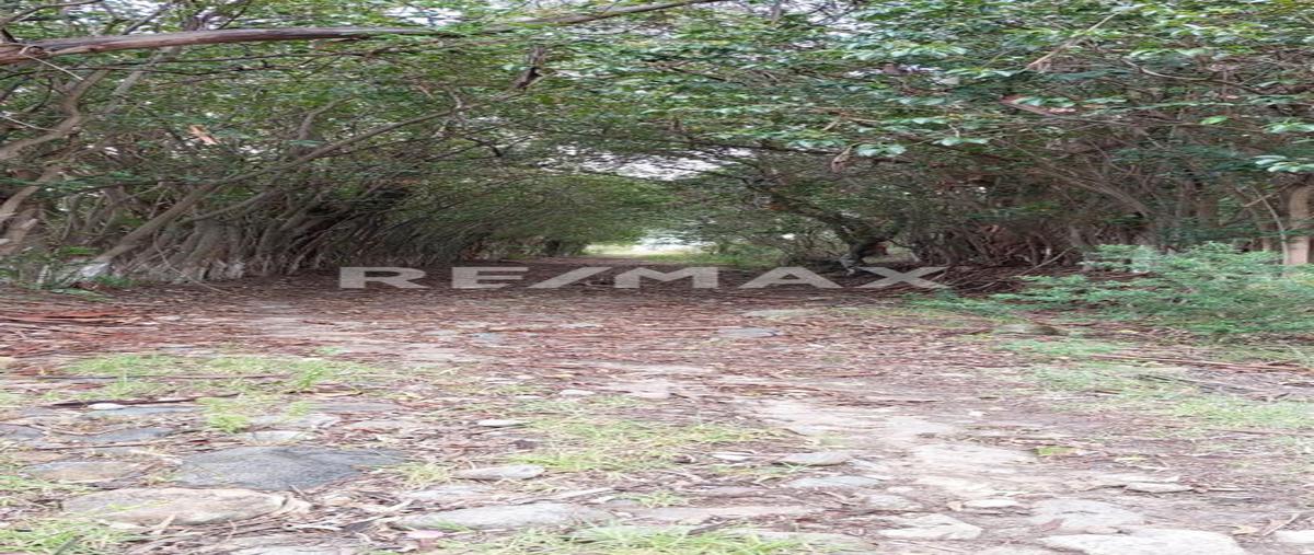 Foto de terreno habitacional en venta en rancho la soledad fraccionamiento tejocote , chapa de mota, chapa de mota, méxico, 25748991 No. 05