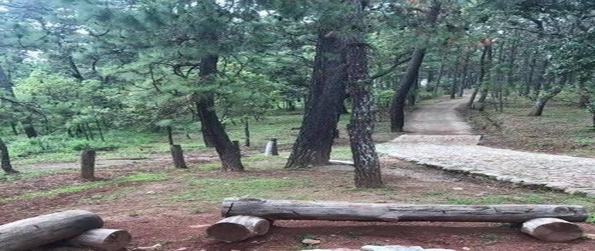 Foto de terreno habitacional en venta en rancho la trajalera , los espinos, tapalpa, jalisco, 27823173 No. 03
