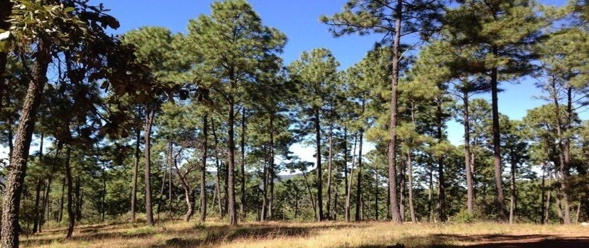 Foto de terreno habitacional en venta en rancho la trajalera , los espinos, tapalpa, jalisco, 27823173 No. 04