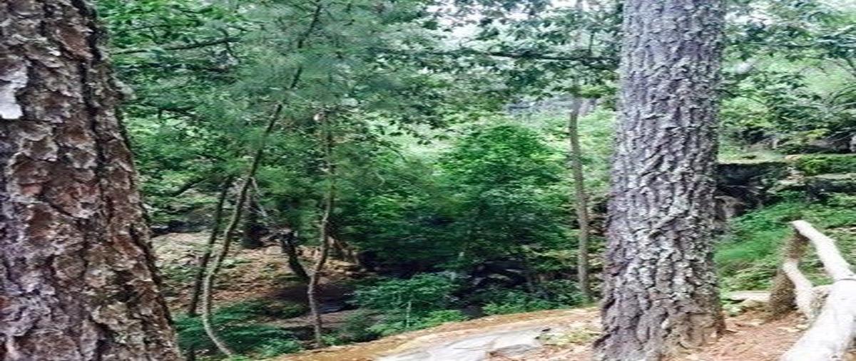 Foto de terreno habitacional en venta en rancho la trajalera , los espinos, tapalpa, jalisco, 27823173 No. 05