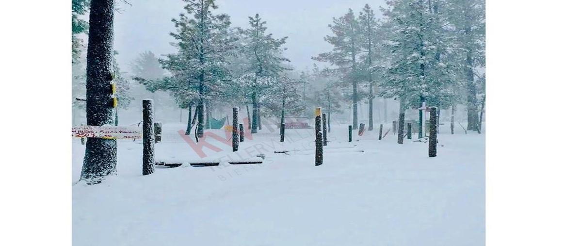 Foto de terreno habitacional en venta en rancho laguinitas , laderas de tecate, tecate, baja california, 0 No. 03