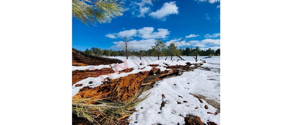 Foto de terreno habitacional en venta en rancho laguinitas , laderas de tecate, tecate, baja california, 0 No. 04