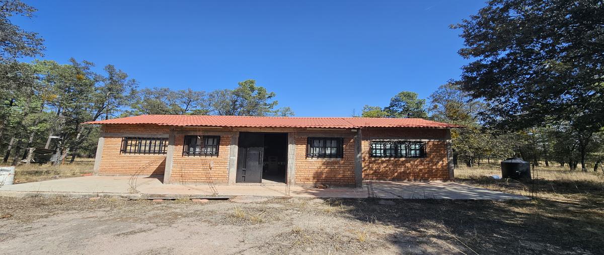 Foto de rancho en rancho laguna colorada , laguna colorada, durango, durango, 0 foto 02 Foto de rancho en venta en rancho laguna colorada , laguna colorada, durango, durango, 0 No. 02