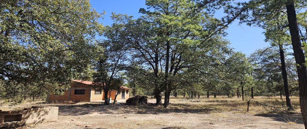 Foto de rancho en rancho laguna colorada , laguna colorada, durango, durango, 0 foto 05 Foto de rancho en venta en rancho laguna colorada , laguna colorada, durango, durango, 0 No. 05