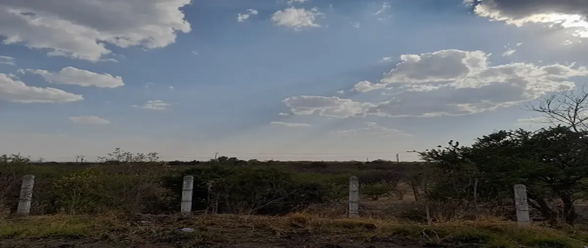 Foto de terreno habitacional en venta en rancho las cuevas , bajío de san jose, encarnación de díaz, jalisco, 29445165 No. 01