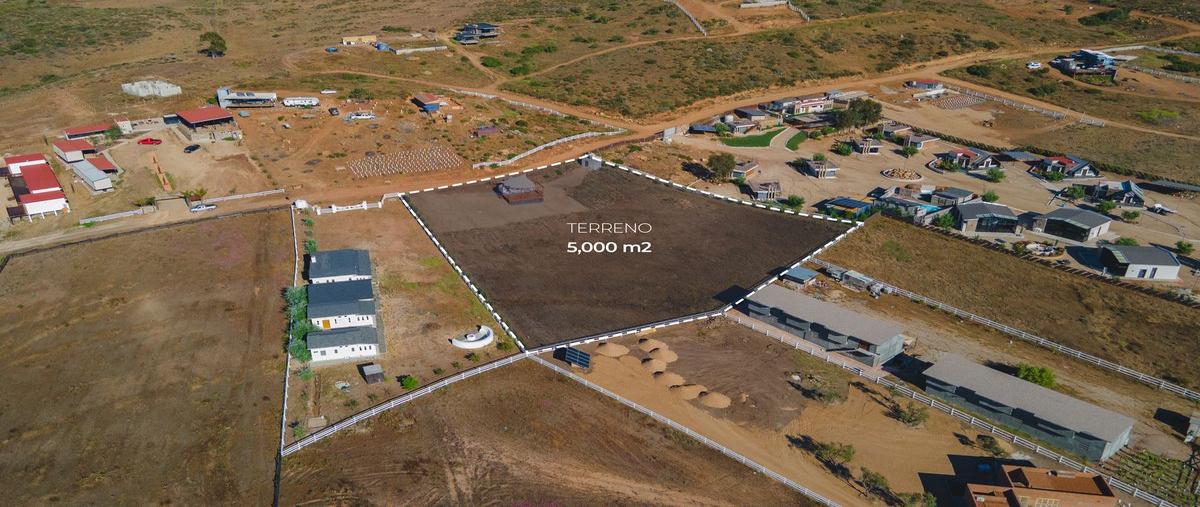Foto de terreno habitacional en venta en rancho las delicias , francisco zarco (valle de guadalupe), ensenada, baja california, 0 No. 03