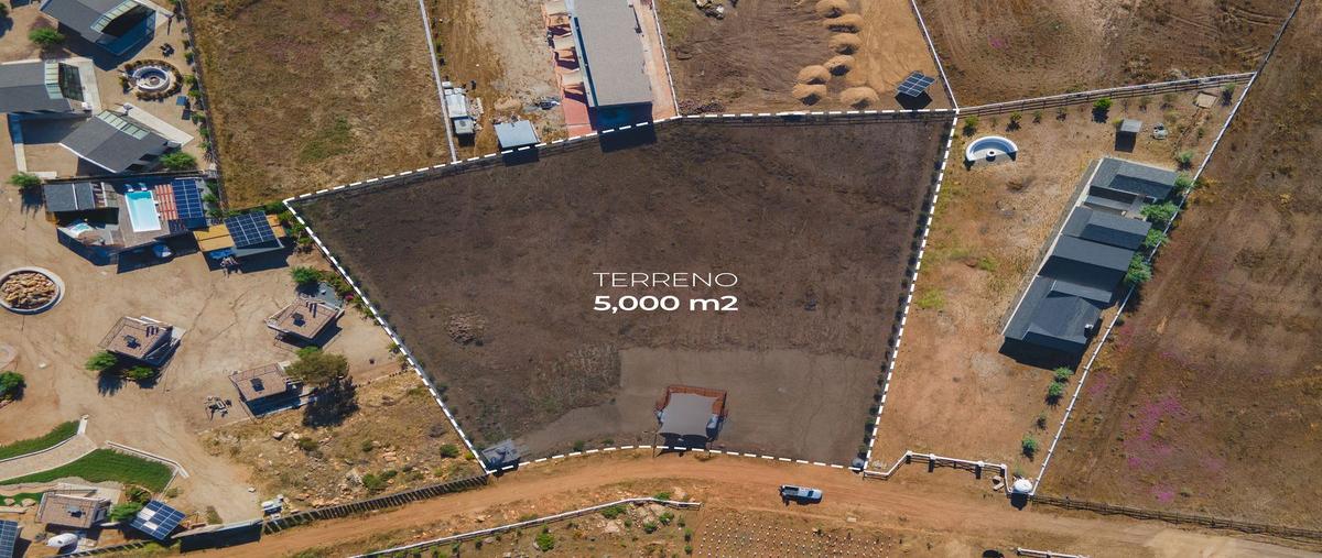 Foto de terreno habitacional en venta en rancho las delicias , francisco zarco (valle de guadalupe), ensenada, baja california, 0 No. 04