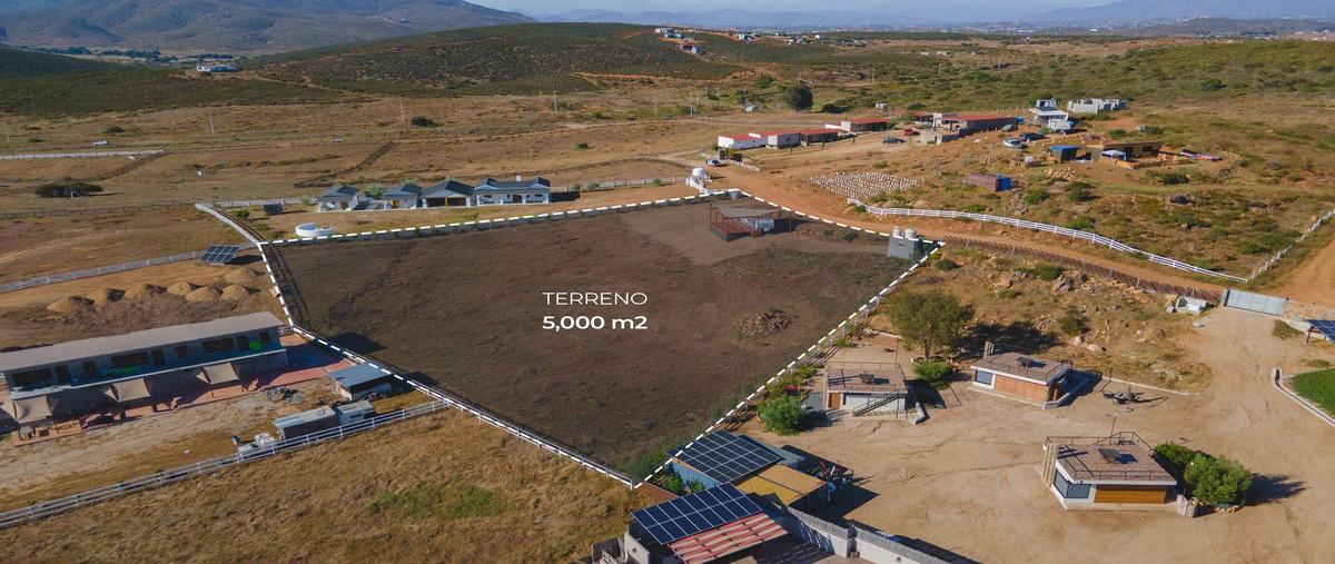 Foto de terreno habitacional en venta en rancho las delicias , francisco zarco (valle de guadalupe), ensenada, baja california, 0 No. 05