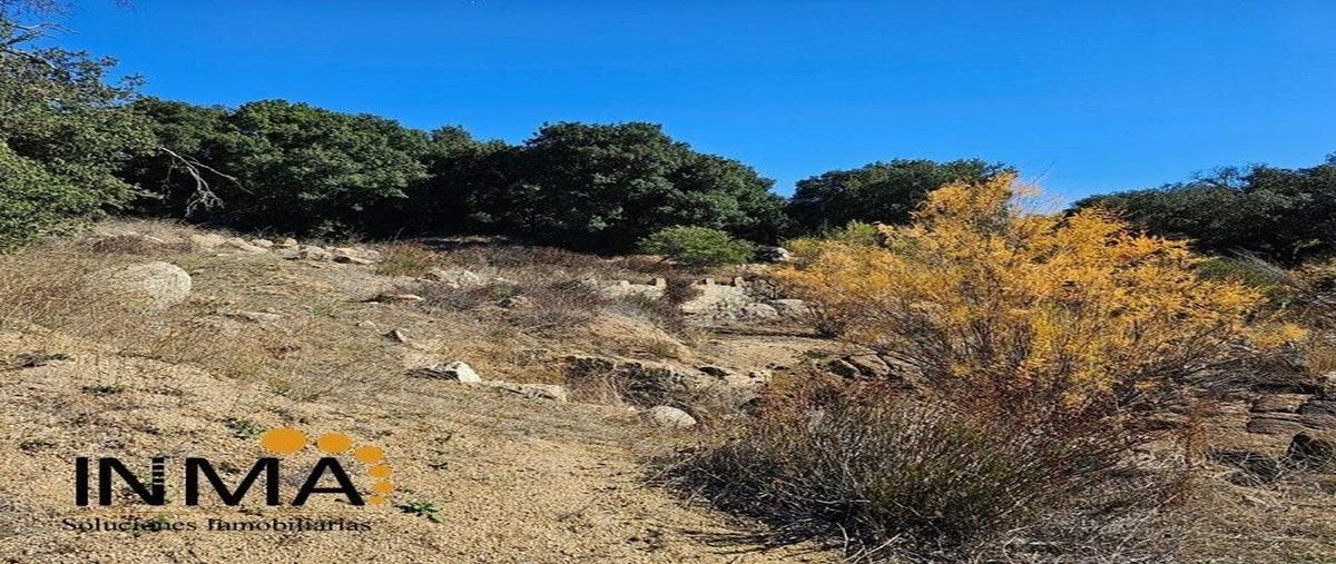 Foto de terreno habitacional en venta en rancho las juntas , tecate, tecate, baja california, 0 No. 09