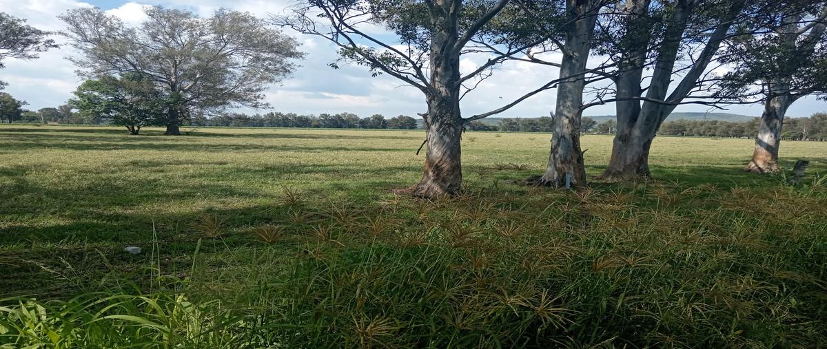 Foto de terreno comercial en venta en rancho las palomas , tototlan centro, tototlán, jalisco, 0 No. 03