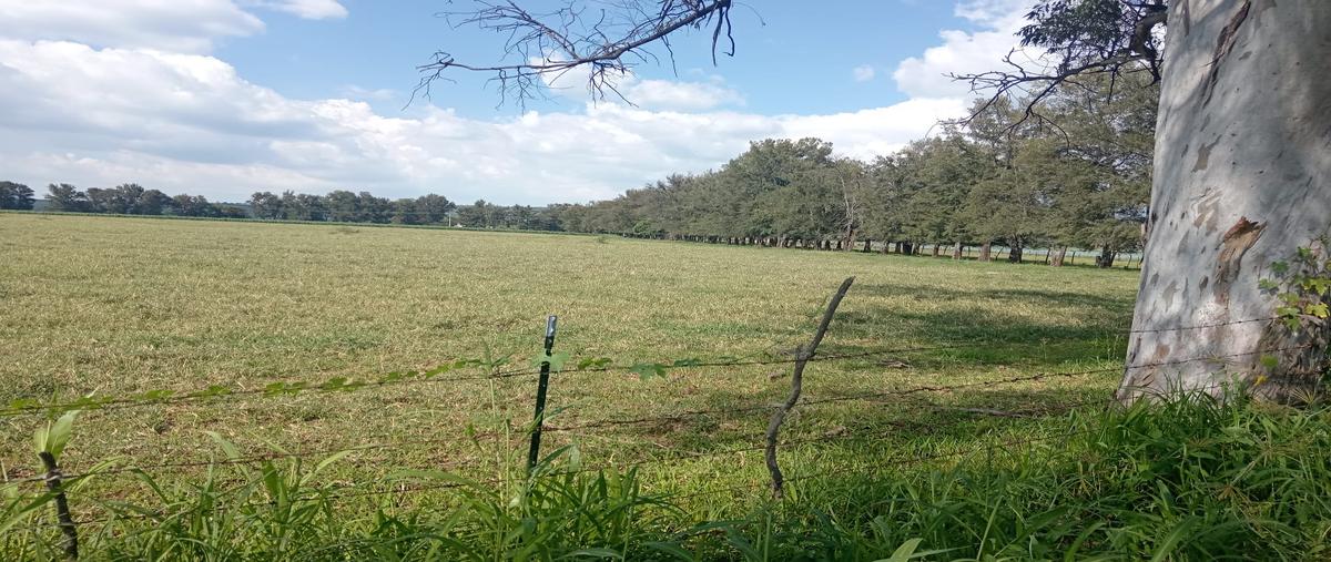 Foto de terreno comercial en venta en rancho las palomas , tototlan centro, tototlán, jalisco, 0 No. 05