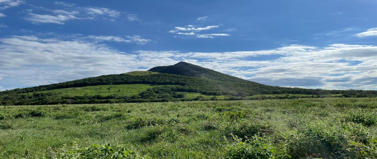 Foto de rancho en venta en rancho las yucas , las alazanas, aldama, tamaulipas, 26010163 No. 04