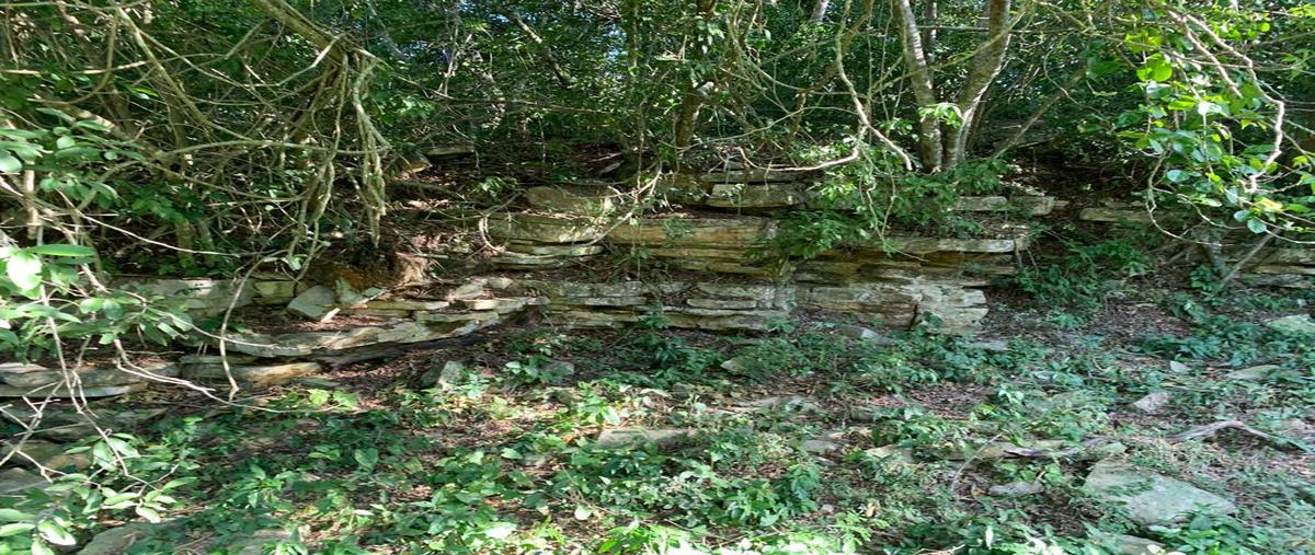 Foto de rancho en venta en rancho las yucas , las alazanas, aldama, tamaulipas, 26010163 No. 05