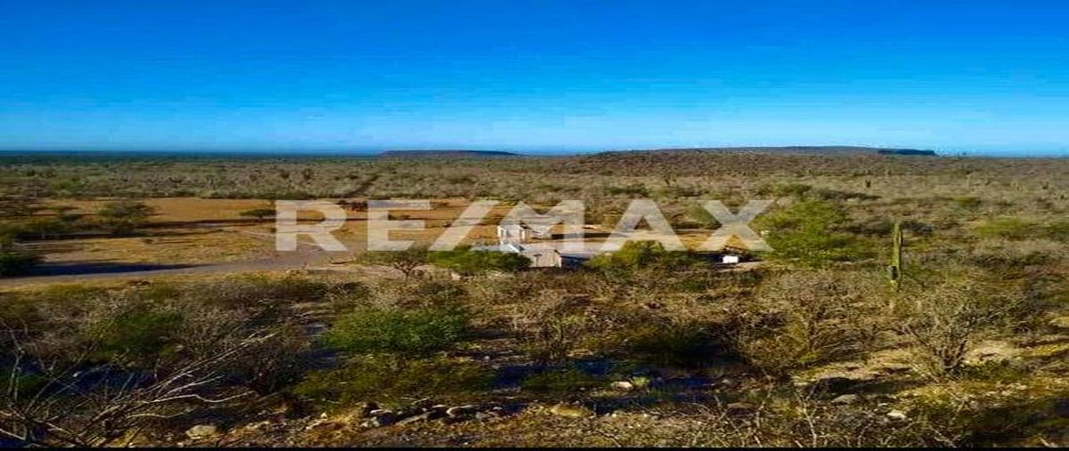 Foto de terreno habitacional en venta en rancho los cerritos , comondú viejo, comondú, baja california sur, 0 No. 03