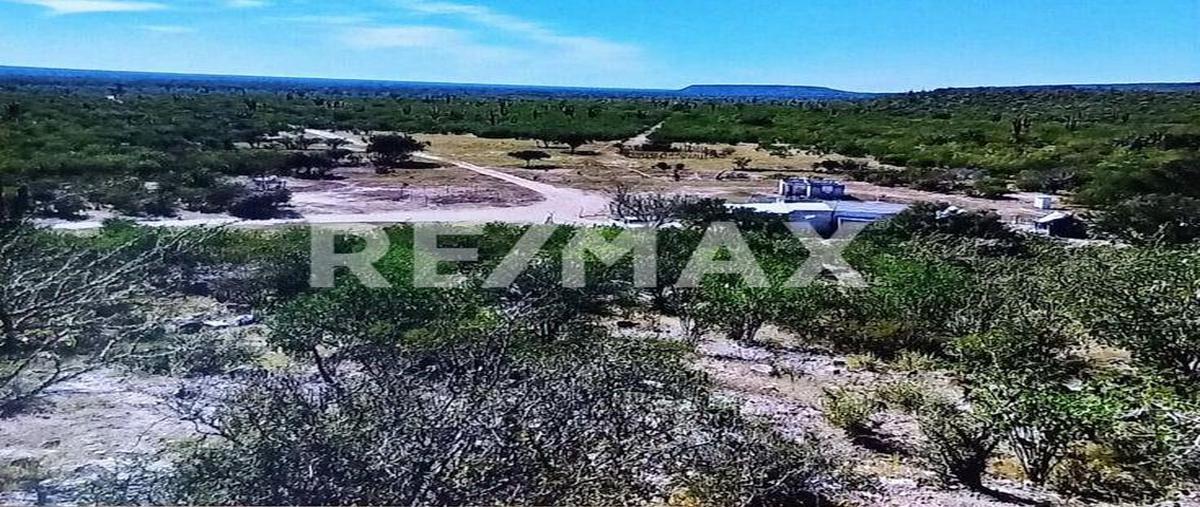 Foto de terreno habitacional en venta en rancho los cerritos , comondú viejo, comondú, baja california sur, 0 No. 05