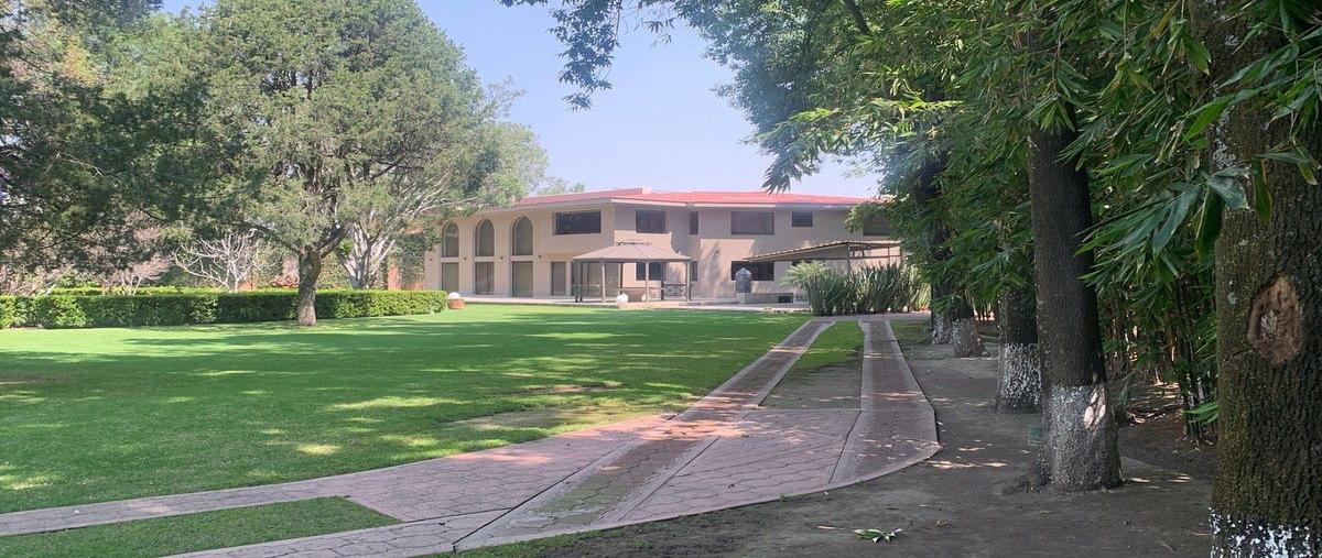 Foto de terreno habitacional en venta en rancho los colorines , rancho los colorines, tlalpan, df / cdmx, 31101517 No. 04