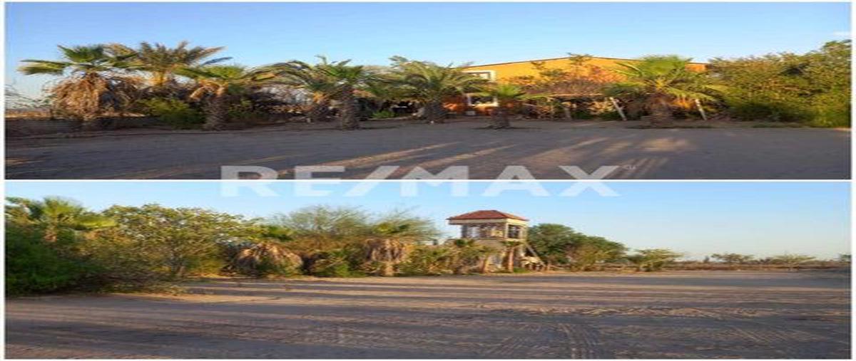 Foto de terreno habitacional en venta en rancho los copales , chametla, la paz, baja california sur, 0 No. 01
