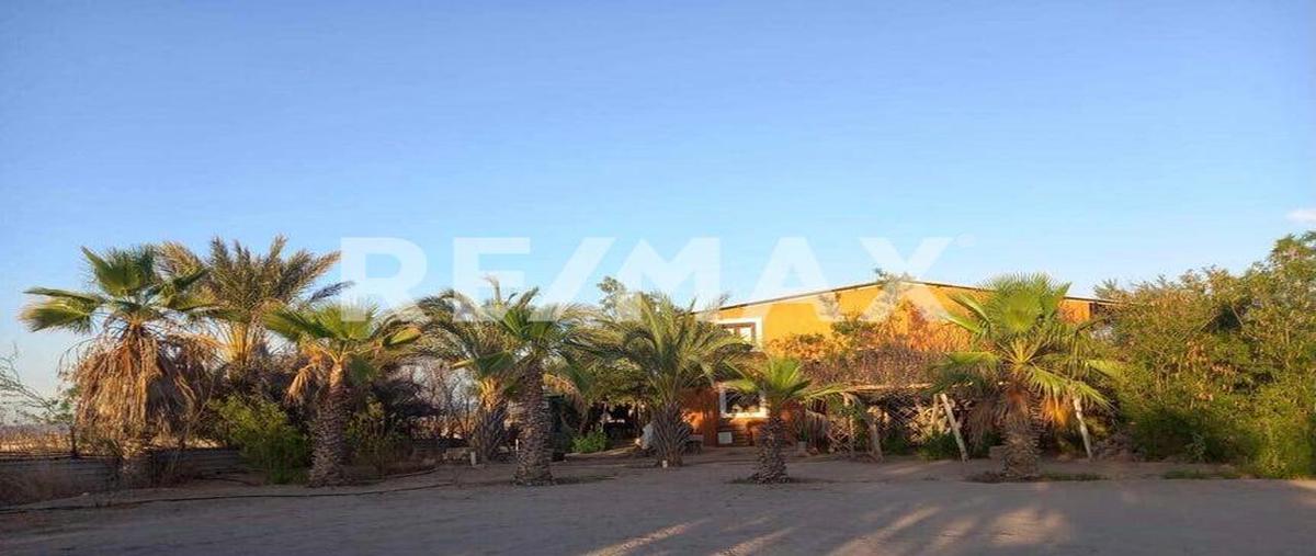 Foto de terreno habitacional en venta en rancho los copales , chametla, la paz, baja california sur, 0 No. 03