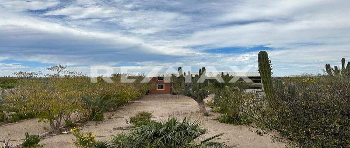 Foto de terreno habitacional en venta en rancho los copales , chametla, la paz, baja california sur, 0 No. 04