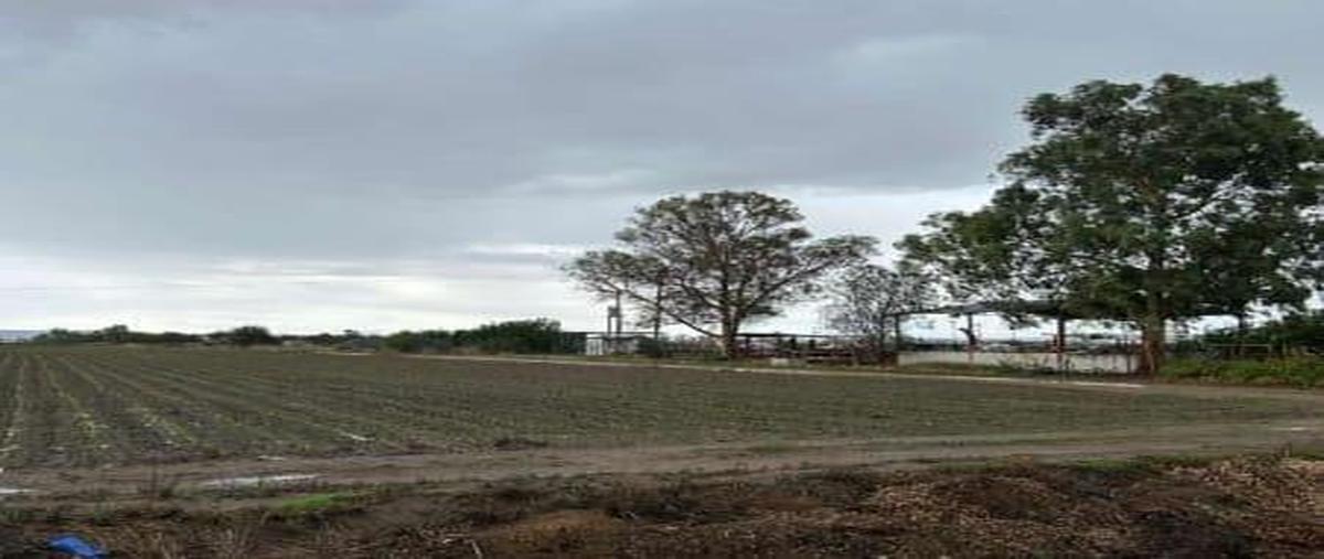 Foto de terreno habitacional en , rancho los hernández, lagos de moreno, jalisco, 0 foto 01 Foto de terreno habitacional en venta en , rancho los hernández, lagos de moreno, jalisco, 0 No. 01