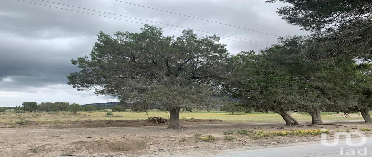 Foto de terreno comercial en rancho los magueyes , miravalles, oriental, puebla, 28983291 foto 03 Foto de terreno comercial en venta en rancho los magueyes , miravalles, oriental, puebla, 28983291 No. 03