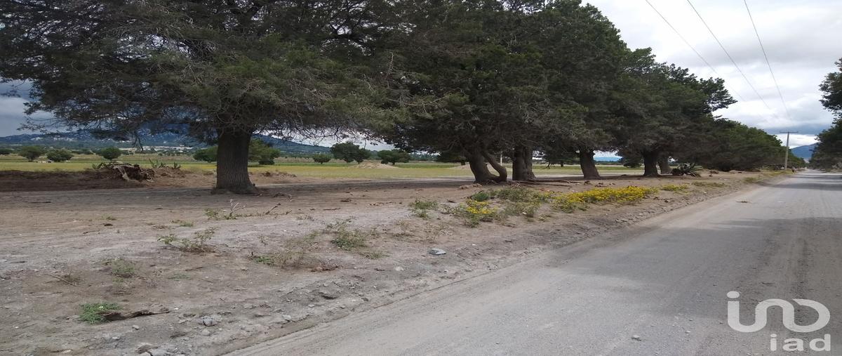 Foto de terreno comercial en rancho los magueyes , miravalles, oriental, puebla, 28983291 foto 04 Foto de terreno comercial en venta en rancho los magueyes , miravalles, oriental, puebla, 28983291 No. 04