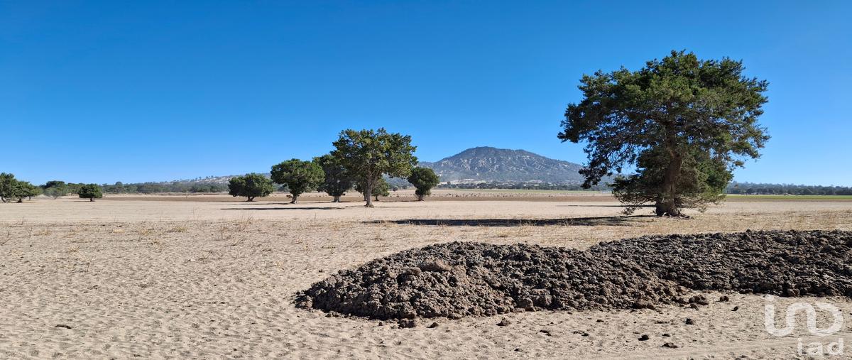 Foto de terreno comercial en rancho los magueyes , miravalles, oriental, puebla, 28983291 foto 05 Foto de terreno comercial en venta en rancho los magueyes , miravalles, oriental, puebla, 28983291 No. 05