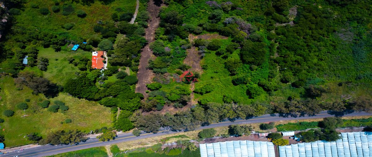 Foto de terreno habitacional en venta en rancho los mangos , san pedro tesistán, jocotepec, jalisco, 30369920 No. 04